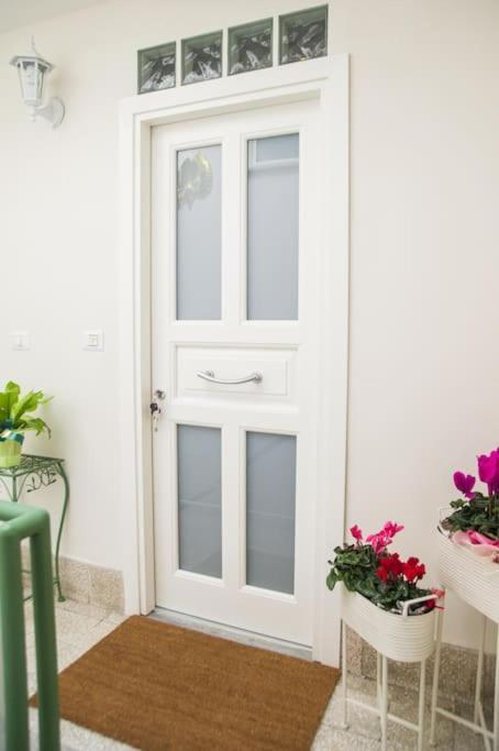 Il Gallo Appartamento Viterbo Ngoại thất bức ảnh